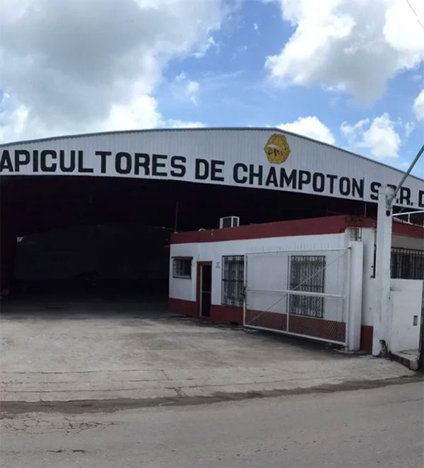 Foto Apicultores de Champotón Miel Carlota México